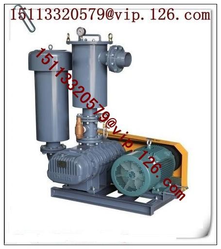 China Central Conveying System Double Stage Vacuum Blower Manufacturer